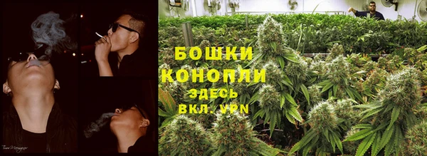 мдпв Володарск
