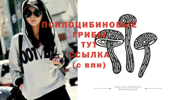 мдпв Володарск