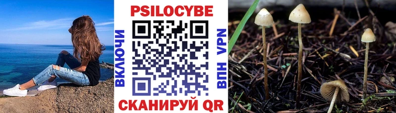Галлюциногенные грибы Magic Shrooms  площадка Telegram  Ангарск  продажа наркотиков 